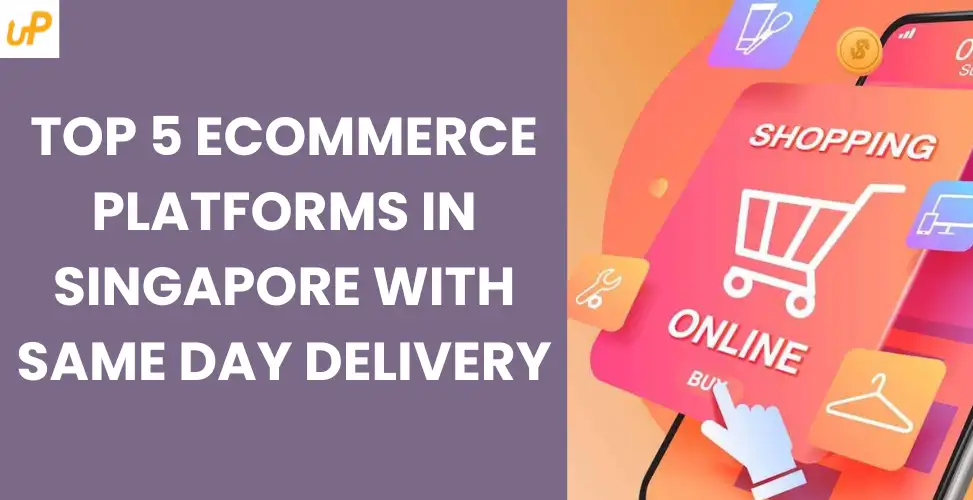 các loại giày nike đẹp